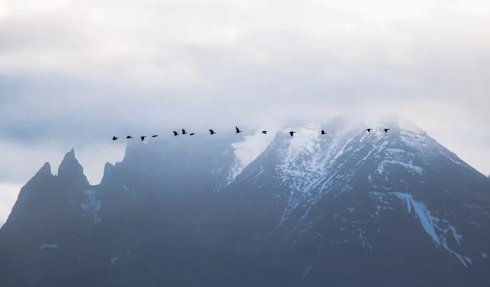I’ve Circled Iceland 3 Times, Here Are My 28 Favorite Pics That Capture Its Beauty