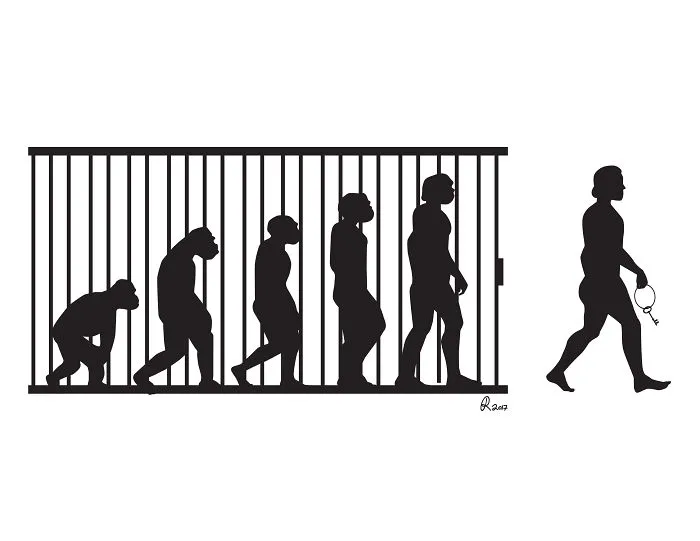 I Poke Fun At Our Modern Society In My 30 Cartoons Of The Human Evolution Silhouette
