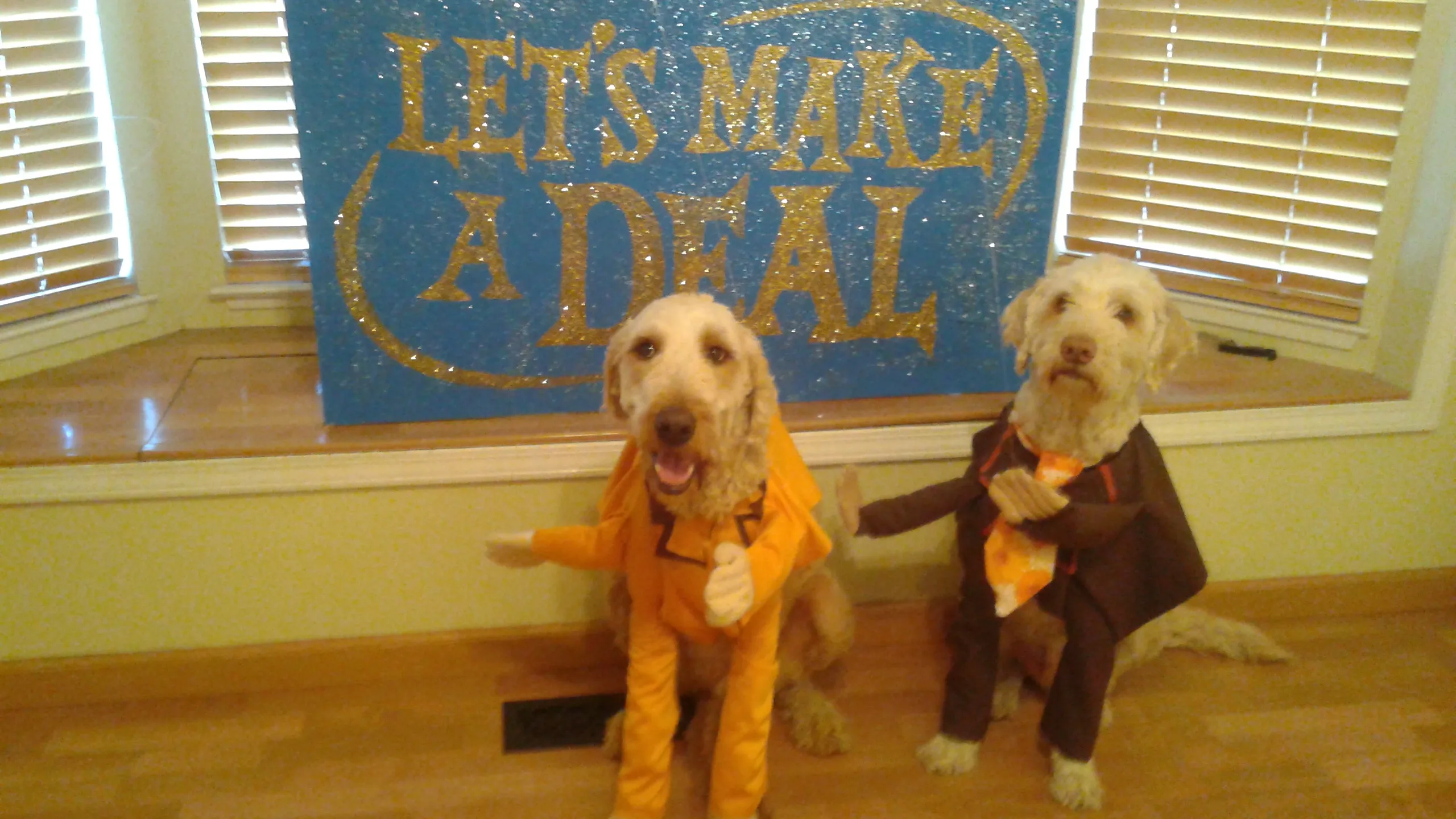 I Really Dress My Dogs Up For Halloween.