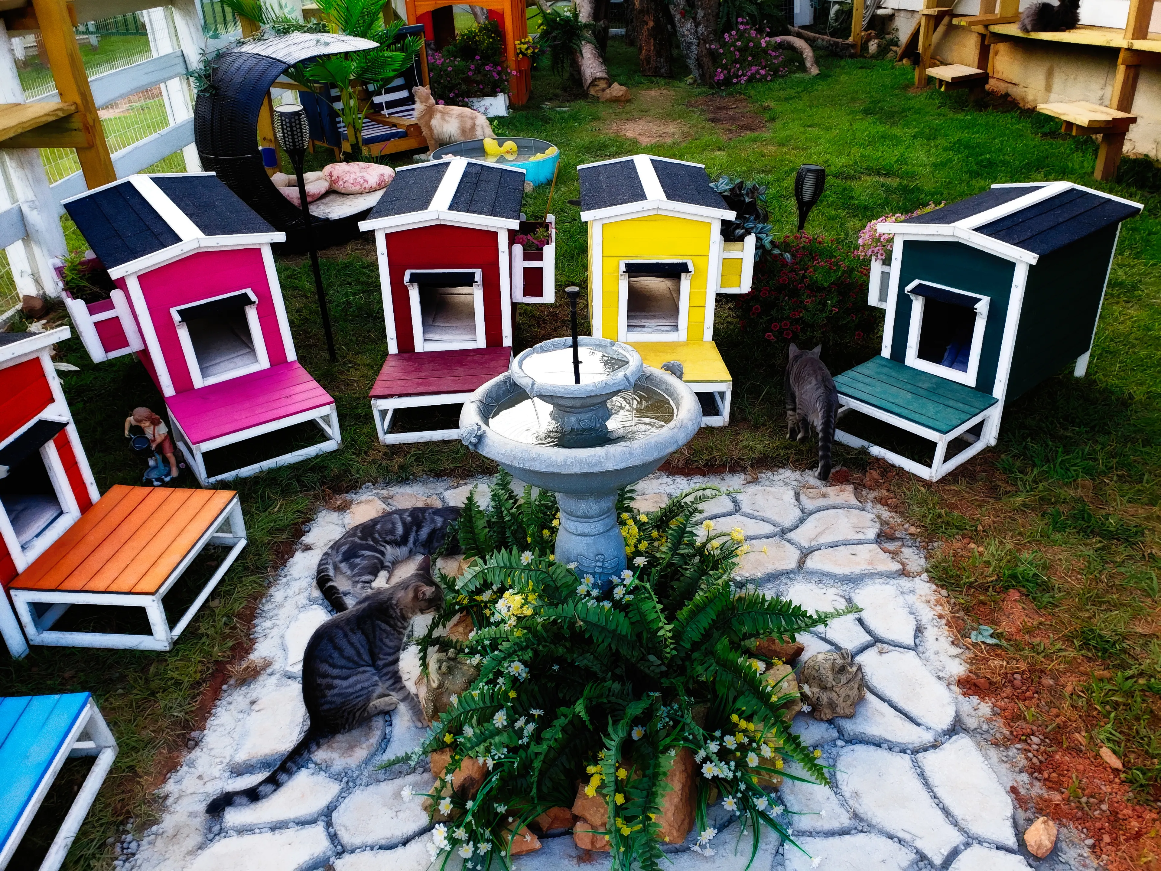 Catio For Our Rescues