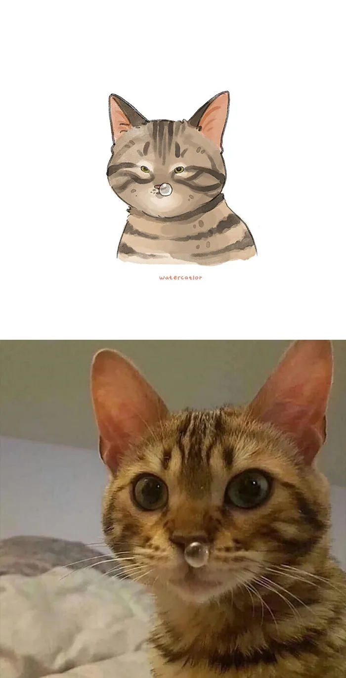 30 Of The Funniest Internet-Famous Cat Pics Get 'Watercolorized' By Amelia Rizky