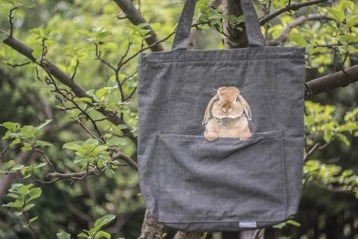 I Gave Up My Job Overnight, Bought A Sewing Machine And Created A Brand For Animal Lovers Like Me (40 Pics)