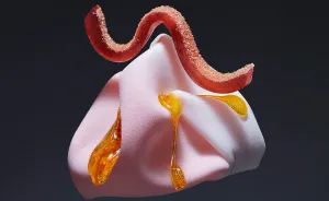 A Visualization Of The Five Primary Taste Sensations