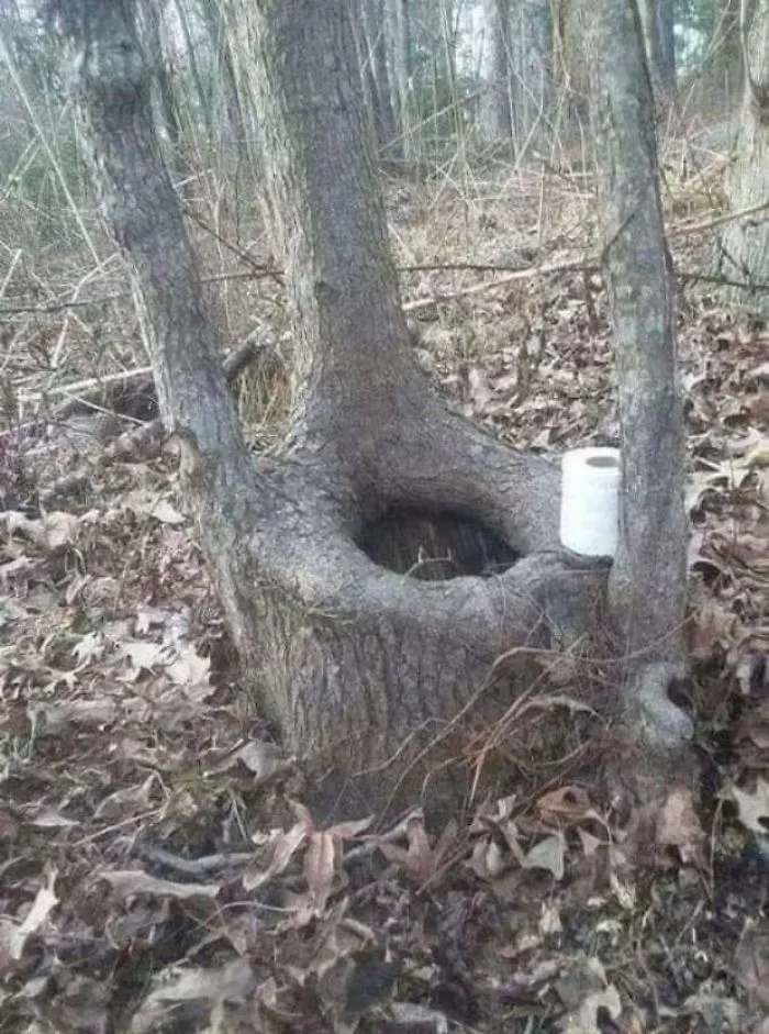 There's A Facebook Group That Posts Toilets With Threatening Auras, And Here's 40 Of The Best Ones