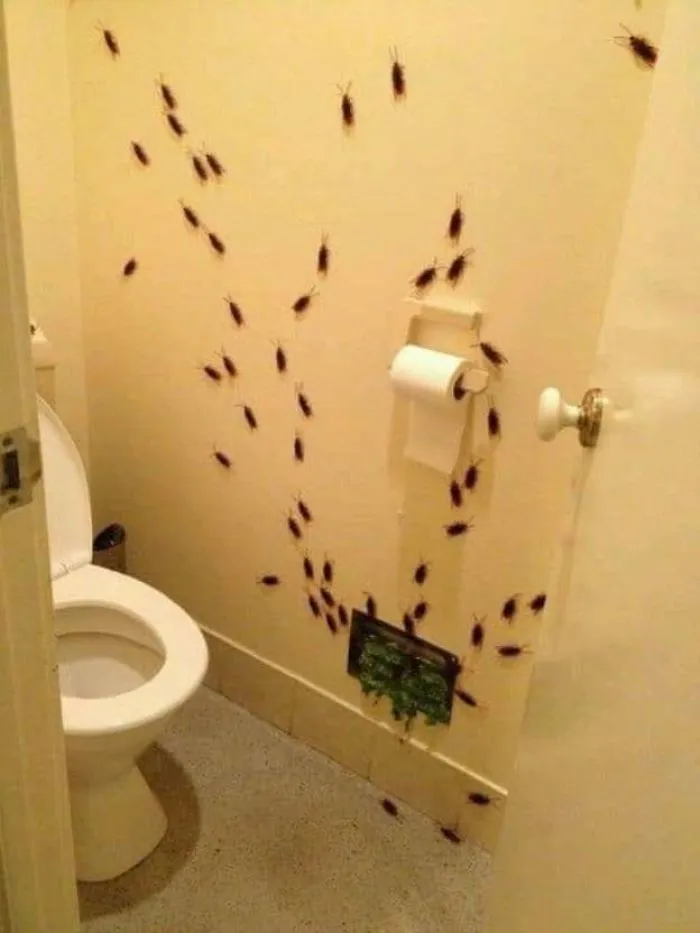 There's A Facebook Group That Posts Toilets With Threatening Auras, And Here's 40 Of The Best Ones