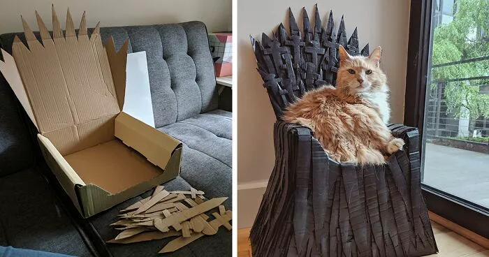 Arthur The Cat Just Got His Own Iron Throne And It's A Better Ending Than The Season 8 Finale