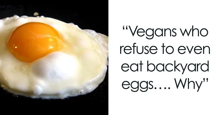 Tumblr Users Tell Vegans That There’s An Ethical Way To Eat Eggs And Honey