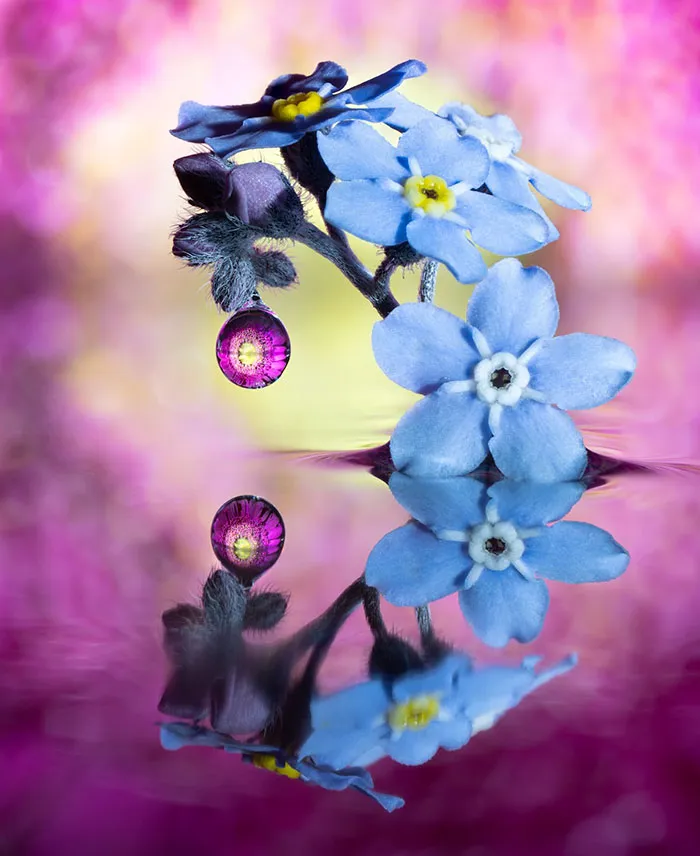 Water Droplets