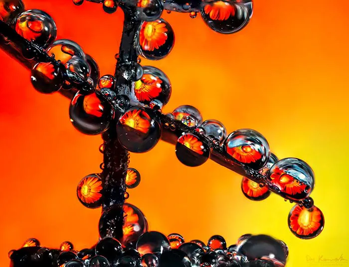 Water Droplets