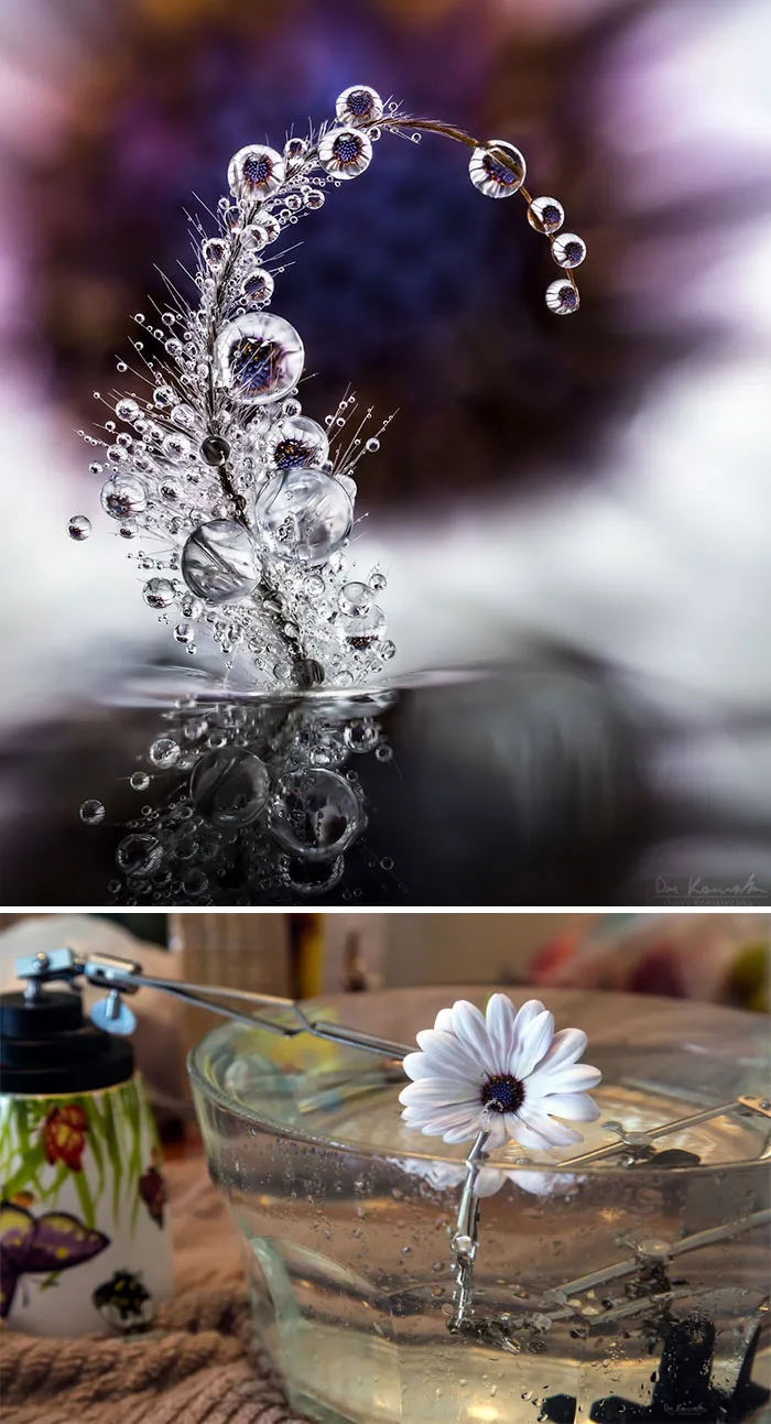Essence Of Reviere