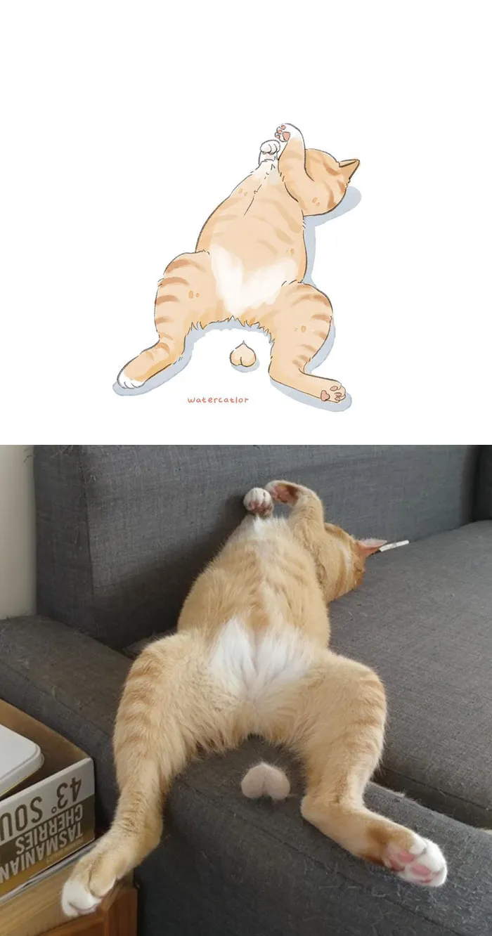 30 Of The Funniest Internet-Famous Cat Pics Get 'Watercolorized' By Amelia Rizky