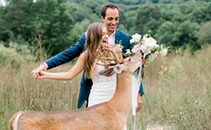 Wedding Photo Shoot Gets Interrupted By A Deer, Results In 15 Funny And Adorable Pictures
