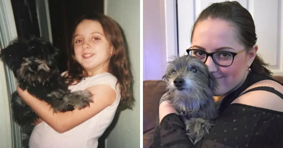Esta mujer adoptó a un perro anciano porque se parecía al cachorro de su infancia, y se dio cuenta de que era el mismo