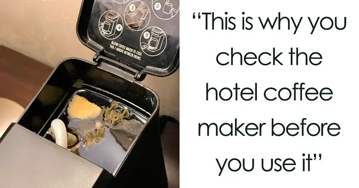 People Are Sharing The Worst Hotels They've Been At (45 Pics)