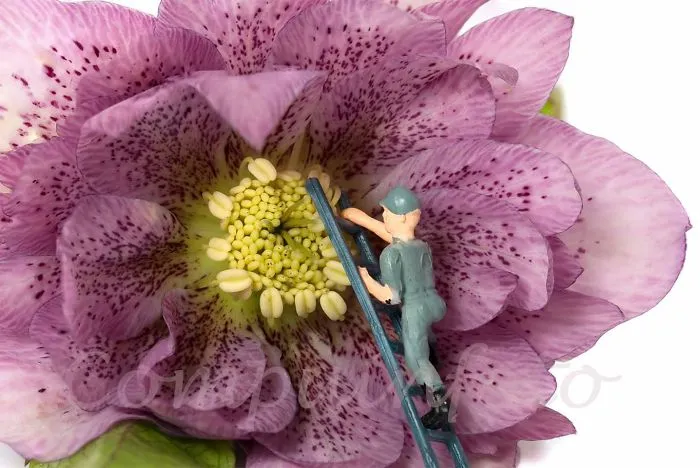 I Create Little Worlds Of Miniature People (83 Pics)