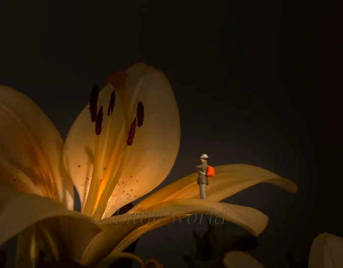 I Create Little Worlds Of Miniature People (83 Pics)