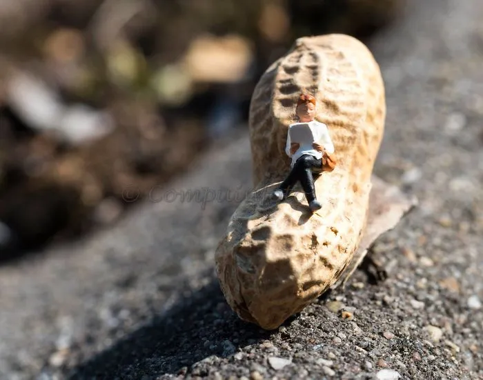 I Create Little Worlds Of Miniature People (83 Pics)
