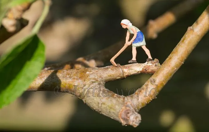 I Create Little Worlds Of Miniature People (83 Pics)