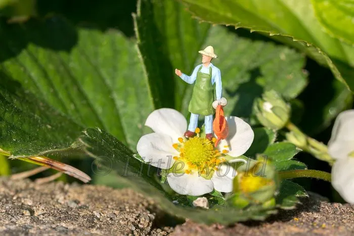 I Create Little Worlds Of Miniature People (83 Pics)