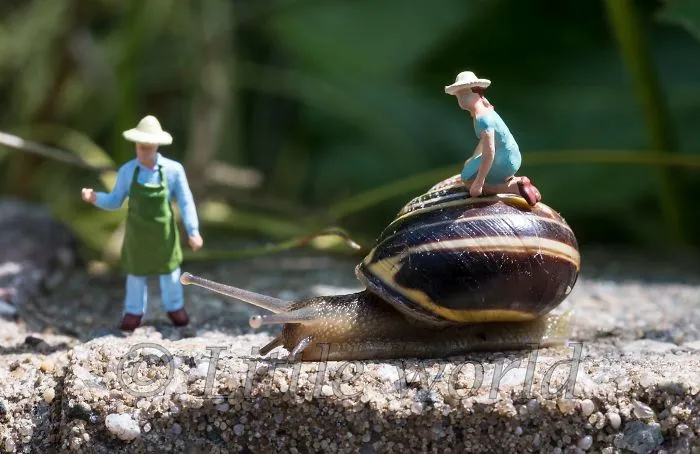 I Create Little Worlds Of Miniature People (83 Pics)