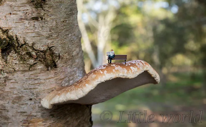 I Create Little Worlds Of Miniature People (83 Pics)