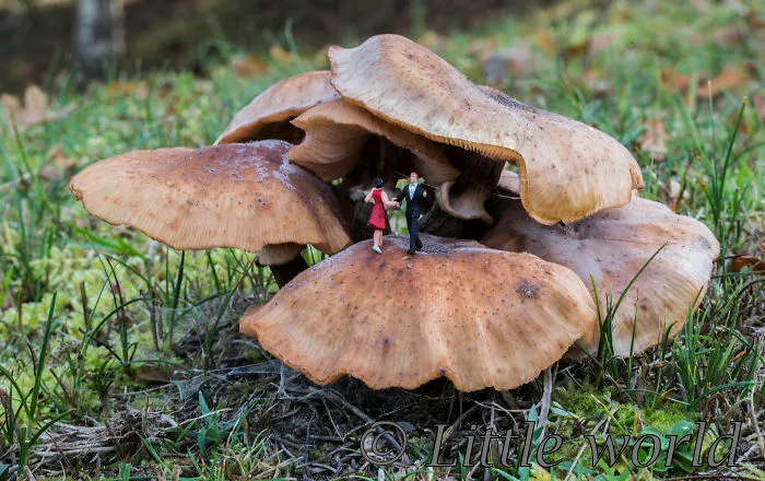 I Create Little Worlds Of Miniature People (83 Pics)