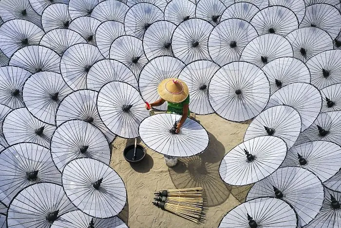 Among The White Umbrellas