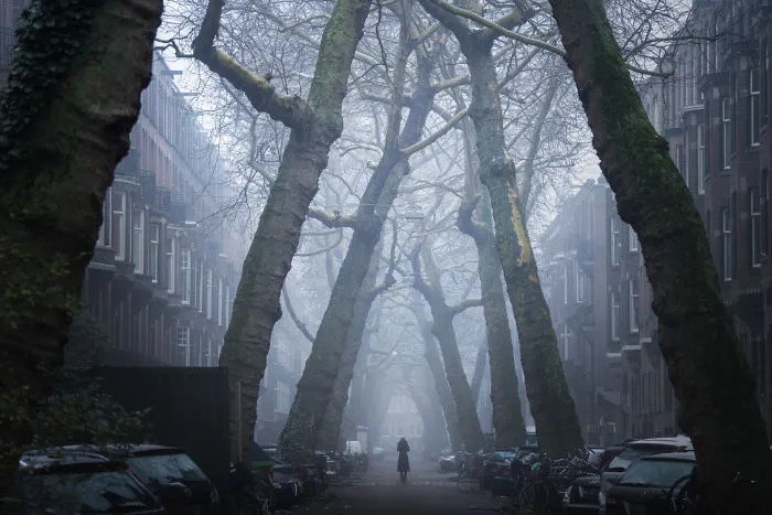 20 Photos Of My Hometown Amsterdam During Different Seasons