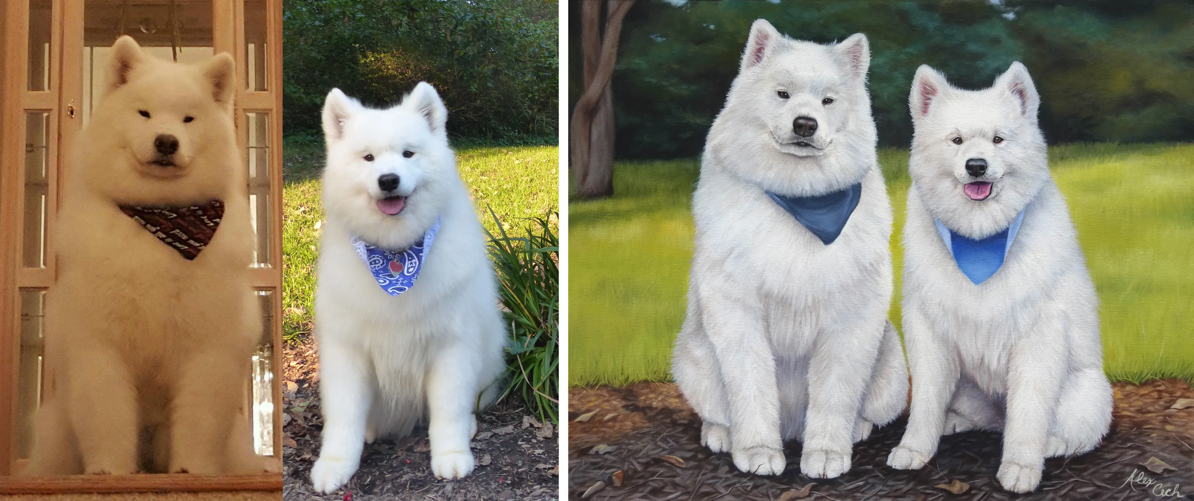 I Paint Pets From Photos, Here Are 12 Of My Favorite Before And Afters (Part 2)