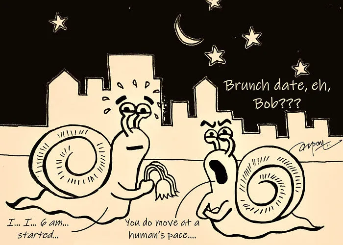 At A Snail's Pace