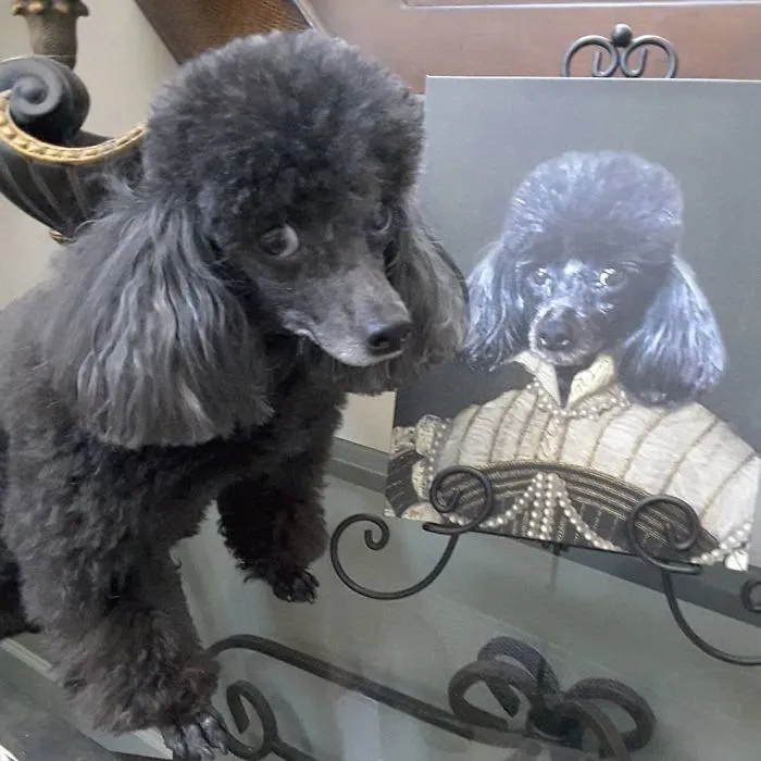 This Company Can Turn A Pet Into A Royal Portrait And Here Are 30 Of The Best Ones