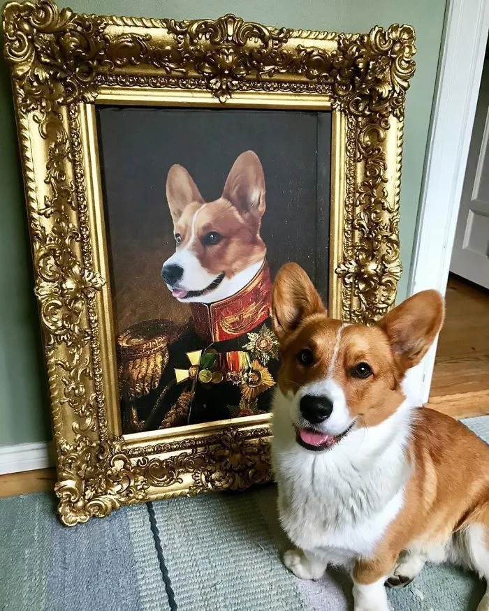 This Company Can Turn A Pet Into A Royal Portrait And Here Are 30 Of The Best Ones