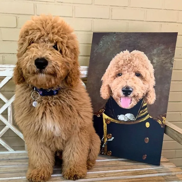 This Company Can Turn A Pet Into A Royal Portrait And Here Are 30 Of The Best Ones