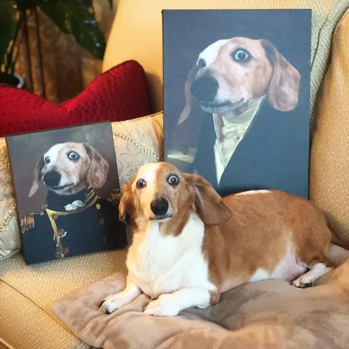 This Company Can Turn A Pet Into A Royal Portrait And Here Are 30 Of The Best Ones