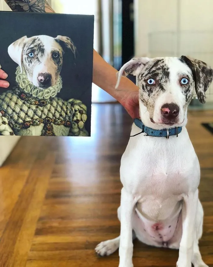 This Company Can Turn A Pet Into A Royal Portrait And Here Are 30 Of The Best Ones