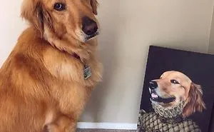 This Company Can Turn A Pet Into A Royal Portrait And Here Are 30 Of The Best Ones