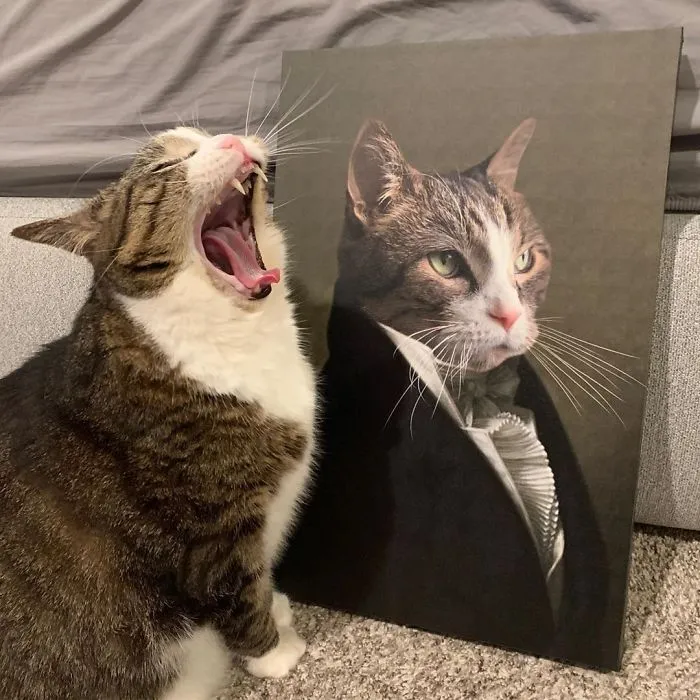 This Company Can Turn A Pet Into A Royal Portrait And Here Are 30 Of The Best Ones