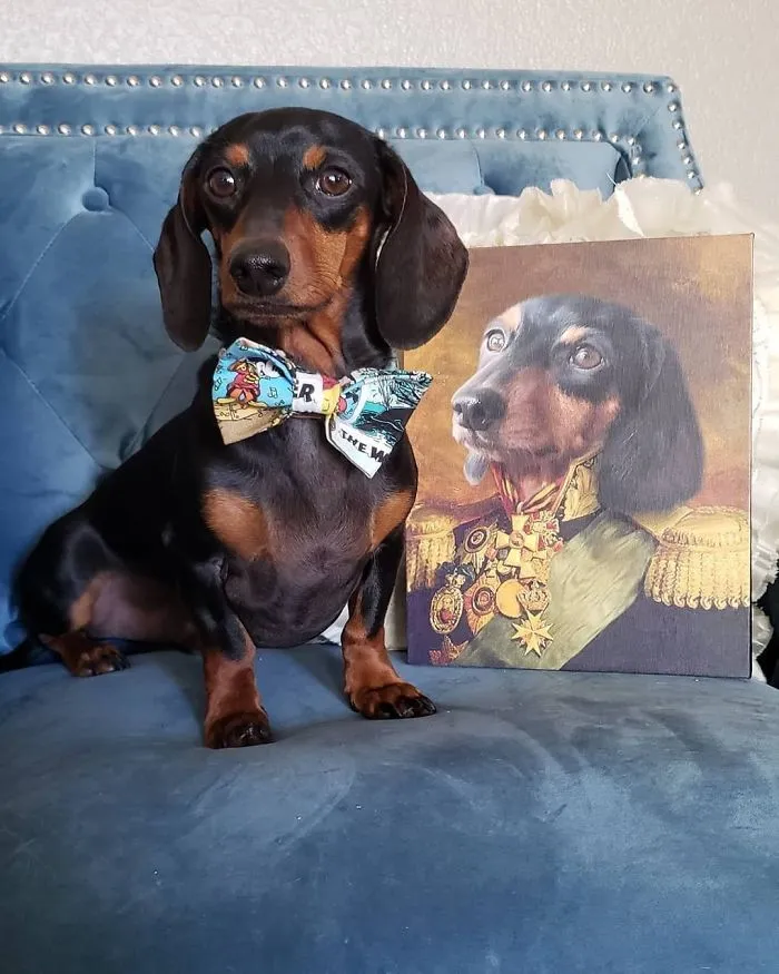 This Company Can Turn A Pet Into A Royal Portrait And Here Are 30 Of The Best Ones