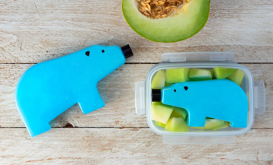 I Have A Bear In My Lunchbox, And He Just Got Out Of My Freezer!