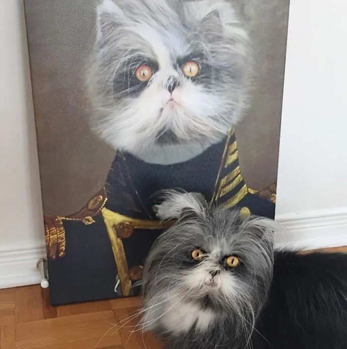 This Company Can Turn A Pet Into A Royal Portrait And Here Are 30 Of The Best Ones
