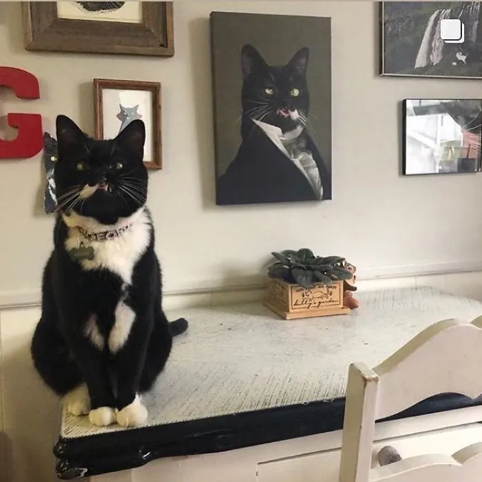This Company Can Turn A Pet Into A Royal Portrait And Here Are 30 Of The Best Ones