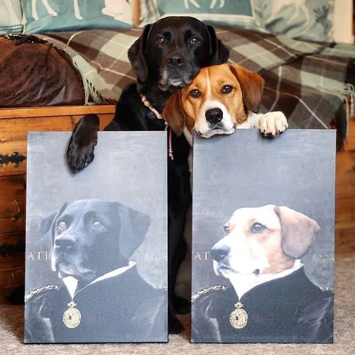 This Company Can Turn A Pet Into A Royal Portrait And Here Are 30 Of The Best Ones