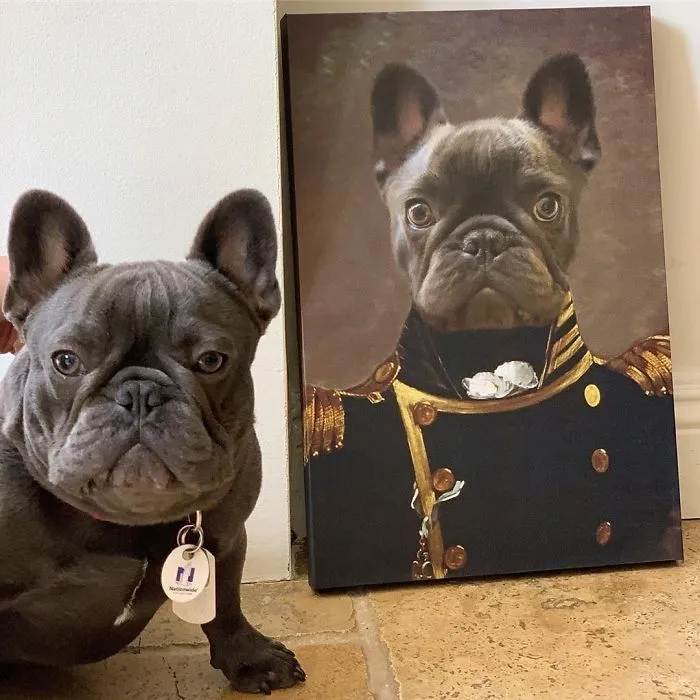 This Company Can Turn A Pet Into A Royal Portrait And Here Are 30 Of The Best Ones