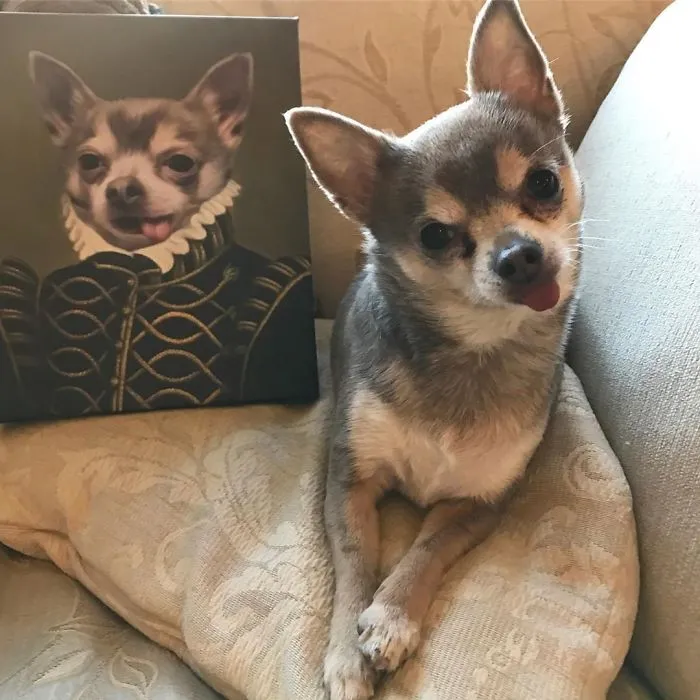 This Company Can Turn A Pet Into A Royal Portrait And Here Are 30 Of The Best Ones