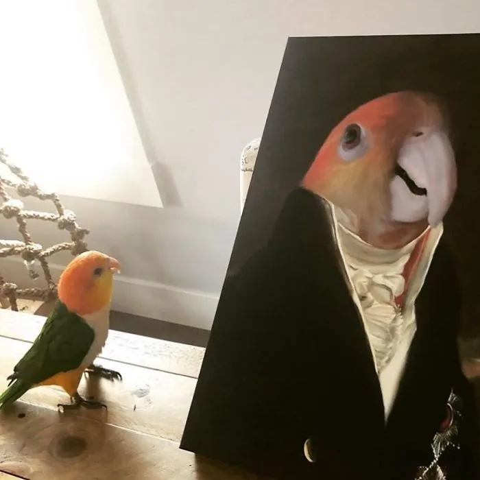 This Company Can Turn A Pet Into A Royal Portrait And Here Are 30 Of The Best Ones