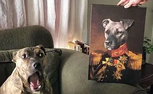 This Company Can Turn A Pet Into A Royal Portrait And Here Are 30 Of The Best Ones
