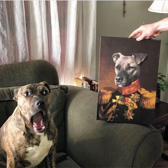 Custom Pet Portrait