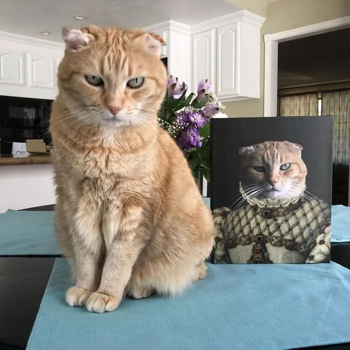 This Company Can Turn A Pet Into A Royal Portrait And Here Are 30 Of The Best Ones