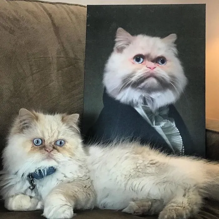 This Company Can Turn A Pet Into A Royal Portrait And Here Are 30 Of The Best Ones