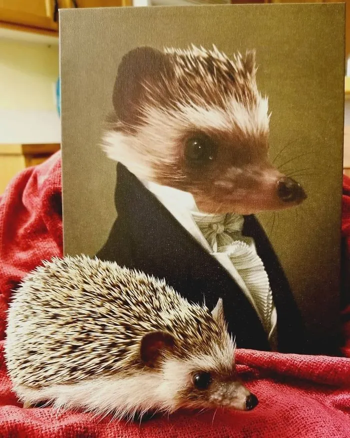 This Company Can Turn A Pet Into A Royal Portrait And Here Are 30 Of The Best Ones